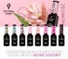  Victoria Vynn Salon Gel Polish COLOR kolor: No 249 Rain Washed