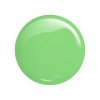                                    Victoria Vynn Salon Gel Polish COLOR kolor: No 421 Lady Green