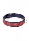 Fetish B - Series Collar with crystals 3 cm Red Line