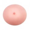 BAILE - the True Breast