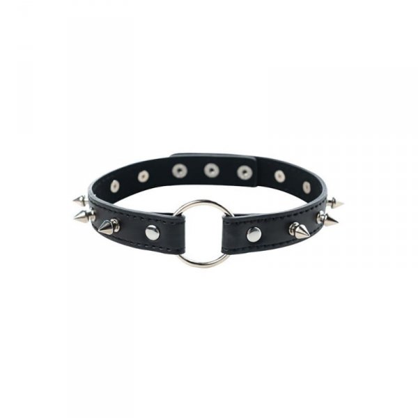 Adjustable collar with spikes