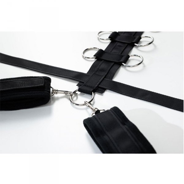 Harness with adjustable neck, belt and breastplate with rings