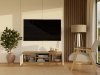 RTV Malwa 120 ARTISAN BIEL