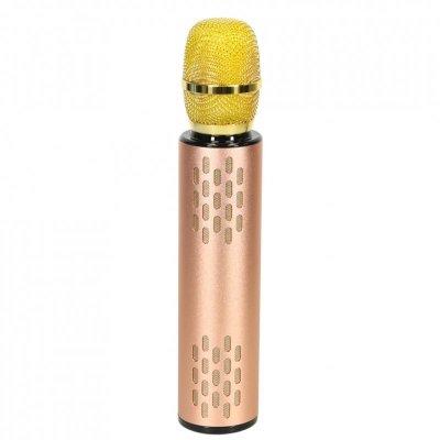 Mikrofon bezprzewodowy karaoke dla dzieci głośnik Bluetooth 2000mAh karta SD USB wysoka jakość złoty