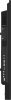 IIYAMA Monitor 50 cali LH5065UHSB-B1 AG, 24/7, VA, ANDROID 11, 4K, 800cd, iiSignage2, SDM, 2x HDMI, DP, 2x USB,2x 10W, RJ45, WiF