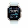 Apple Przedłużka do paska Ocean w kolorze mroźnego błękitu do koperty 49 mm - elementy z tytanu w kolorze naturalnym