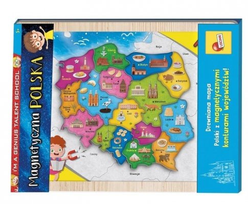 Mapa magnetyczna Polski