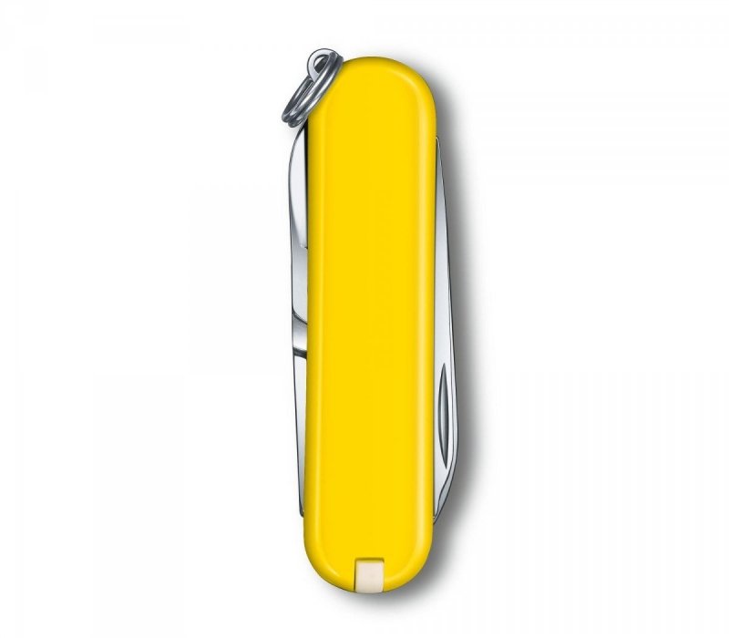 Scyzoryk Victorinox Classic SD 0.6223.8G