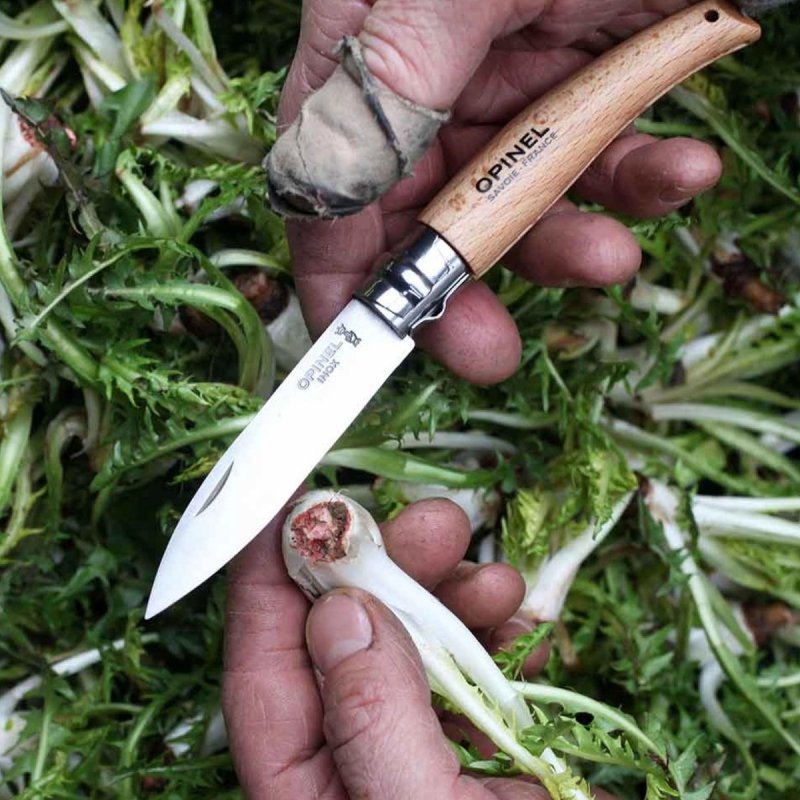 Nóż Opinel 8 ogrodniczy w blistrze