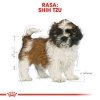Royal Canin Shih Tzu Puppy / Junior 500g