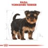 Royal Canin Yorkshire Terrier Puppy 1,5kg 