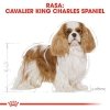 Royal 255040 Cavalier King Charles Adult 1,5kg