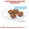 Royal Mini Starter Mother & Babydog 1kg