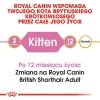 Royal British Shorthair Kitten 400g
