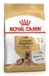 Royal German Shepherd +5 3kg