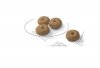 Royal 272370 CCN Mini Sterilised 8kg
