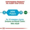Royal 269990 Mini Puppy 85g