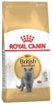 Royal British Shorthair Adult 10kg