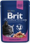 Brit Premium Cat 100g z łososiem i pstrągiem w sosie saszetka dla kota 
