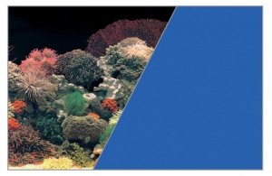 ZOLUX Tło akw. 30x40cm koralowiec/niebieski