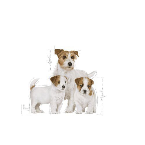 Royal Mini Starter Mother &amp; Babydog 1kg