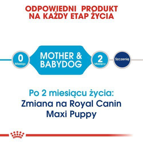 Royal Maxi Starter Mother &amp; Babydog 15kg