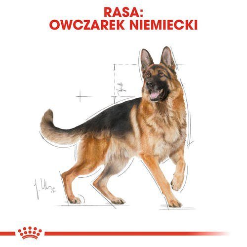 Royal German Shepherd Adult 11kg