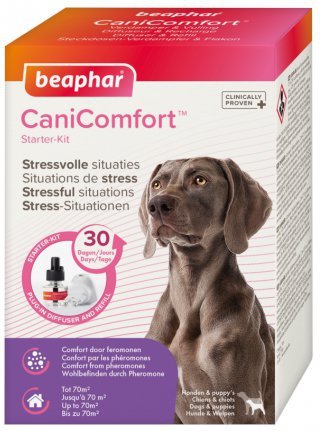 Beaphar Canicomfort Starter 48ml dyfuzor dla psa