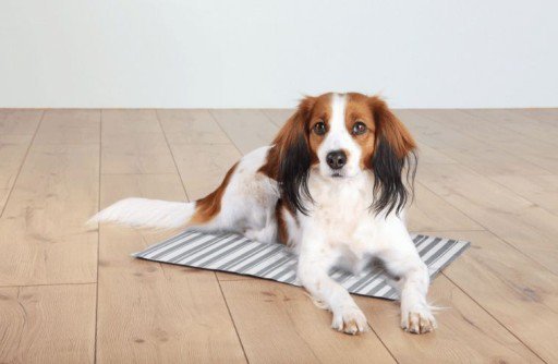 Trixie 28774 Mata chłodząca L 65x50cm biało/szara