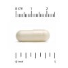 Gold C Vitamin C | Witamina C 1000 mg 240 kaps.