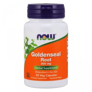 NOW FOODS Goldenseal Root - Gorzknik Kanadyjski 500 mg (50 kaps.)