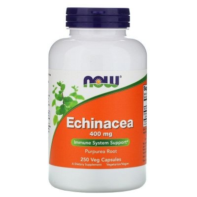 NOW FOODS Echinacea - Jeżówka Purpurowa (250 kaps.)