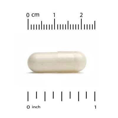 Gold C Vitamin C | Witamina C 1000 mg 240 kaps.