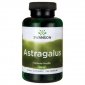 SWANSON Astragalus ekstrakt (120 kaps.) 