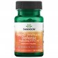 SWANSON Epicor immunogen 500 mg (30 kaps.) 