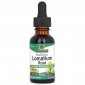 NATURE'S ANSWER Lomatium Root - Korzeń Lomatium (30 ml) 