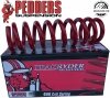 Zestaw podnoszący zawieszenie o 45mm Dodge RAM 1500 DS 2009-