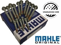 Śruby głowicy cylindrów silnika Cadillac Escalade 2004-2014