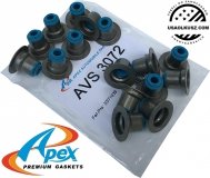 Uszczelniacze zaworowe Chevrolet Express V8 2003-