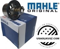 Termostat Dodge Viper