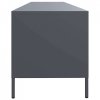 Szafka RTV, czarna, 202x39x43,5 cm, stal walcowana na zimno