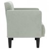 Sofa Fotel z Podłokietnikami Jasnoszary 53 cm Aksamit
