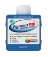 INCHEM PIGMENT MIX BŁĘKIT 80ML (1 SZT)