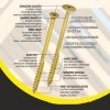 WKRĘT DO DREWNA Z KOŁNIERZEM NA TORX OCYNKOWANY 10*240MM T40 (50 SZT)