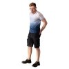 KRÓTKIE SPODENKI DENIM ROZMIAR XL (1 SZT)