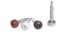 WKRĘT SAMOWIERTNY TORX 4.8*35MM OCYNKOWANY (5 STO)