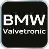 Zestaw blokad rozrządu do silników benzynowych BMW z systemem Valvetronic.