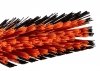 Szczotka ulicowa 50 cm z uchwytem metalowym. Linia profesjonalna