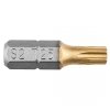 Końcówki wkrętakowe TX25 x 25 mm, 2 szt.