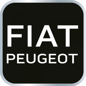 Zestaw blokad rozrządu do silników diesla Fiat/Peugeot